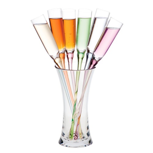 Set of 6 colored polycarbonate flutes