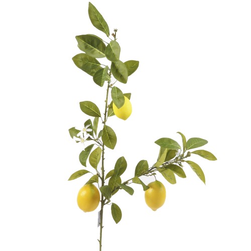 Branch of lemons