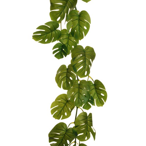 Philodendron garland