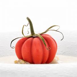 Tomato Silicone mold Naturae line