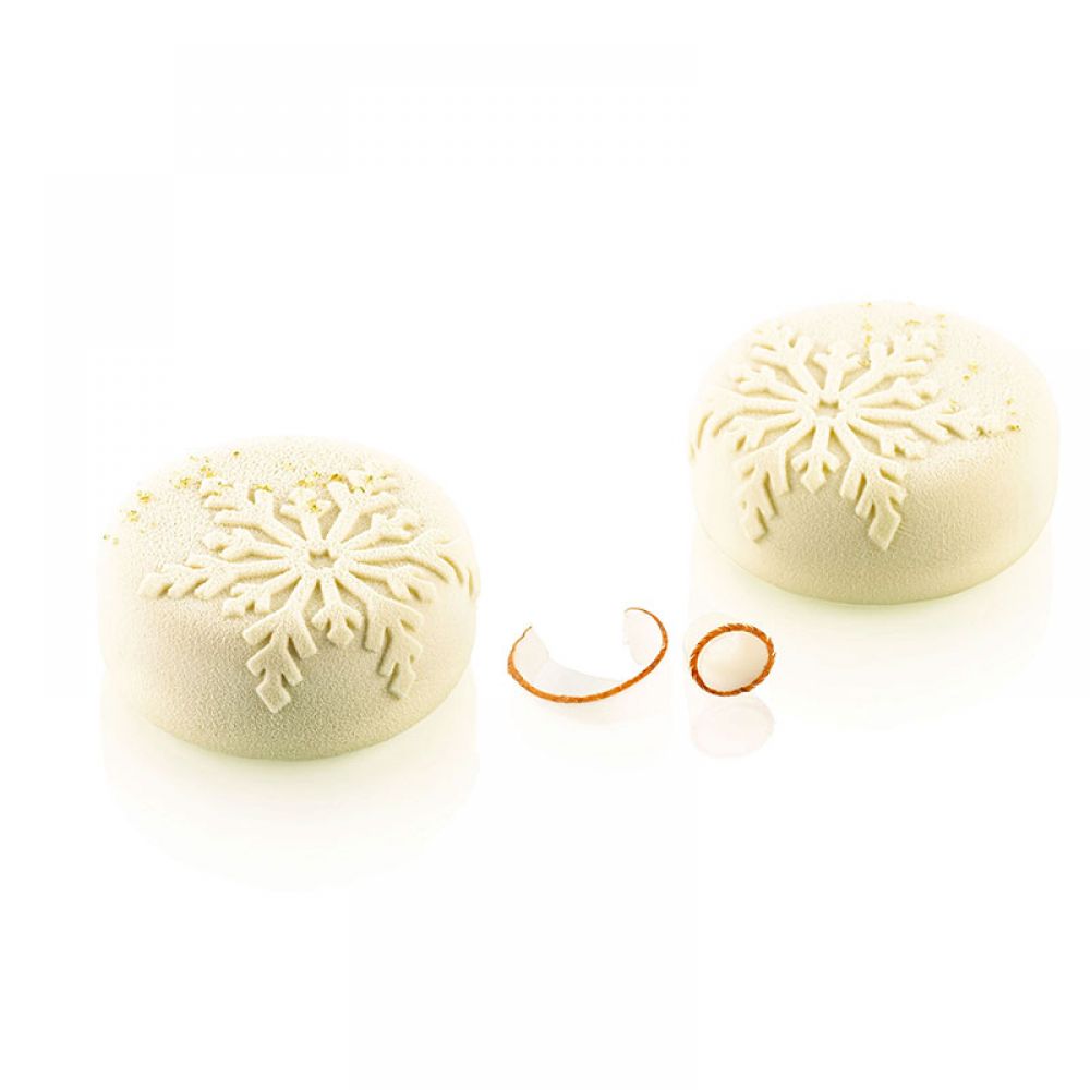 Neve 110 mold in silicone