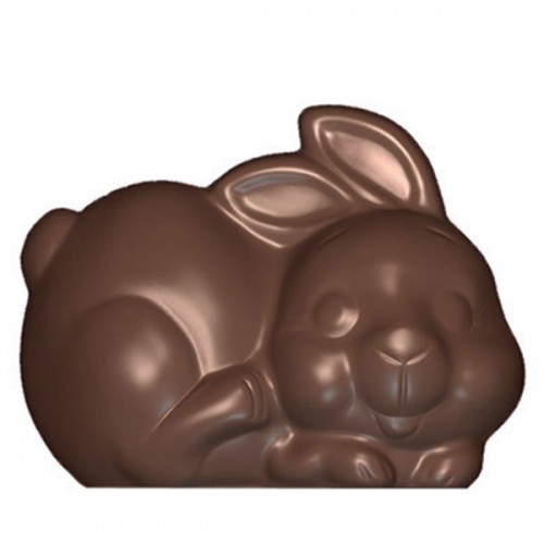 Chocolate bunny mold in polycarbonate 