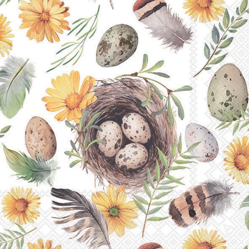 Set of 20 Egg and Feather Napkins