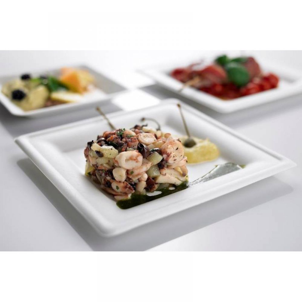 Set of 50 square plates in biodegradable and compostable cellulose pulp