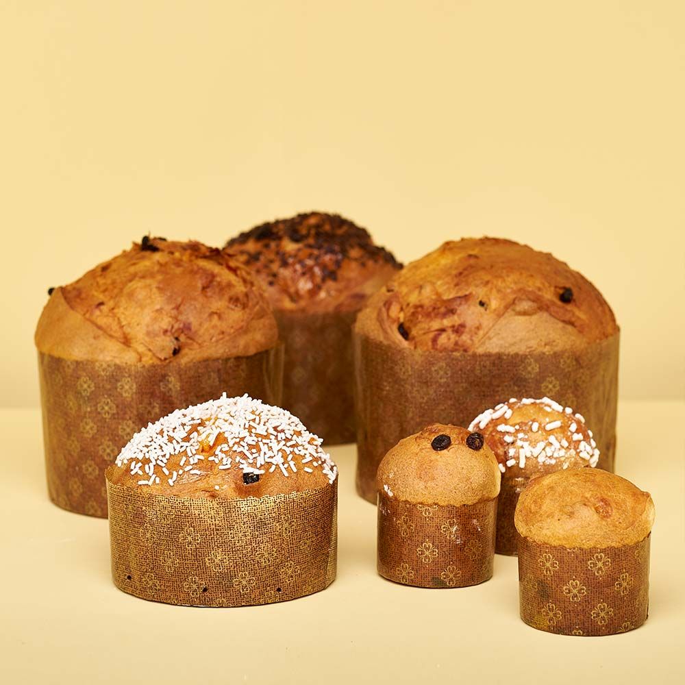 Set of 50/100 Panettone molds